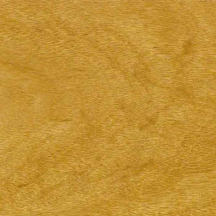 Pau Cetim Amarelo